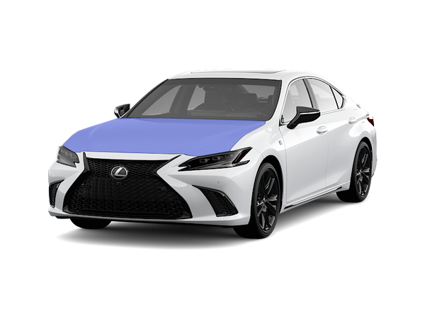 ES Paint Protection Film