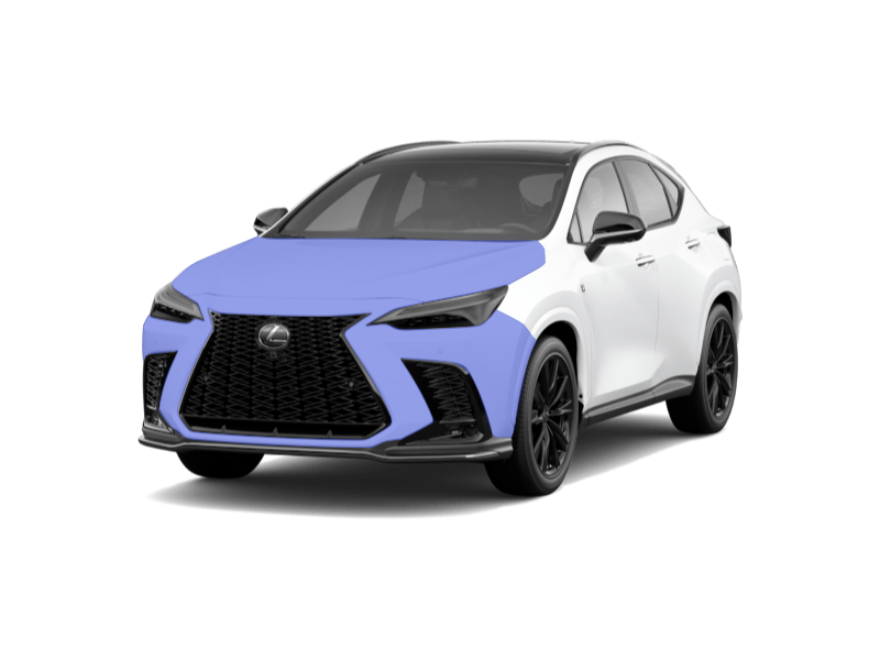 NX Paint Protection Film