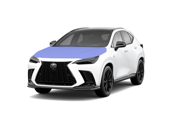 NX Paint Protection Film